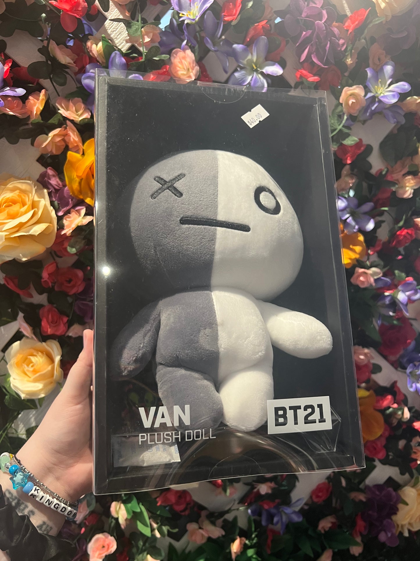 BT21 Van Plush
