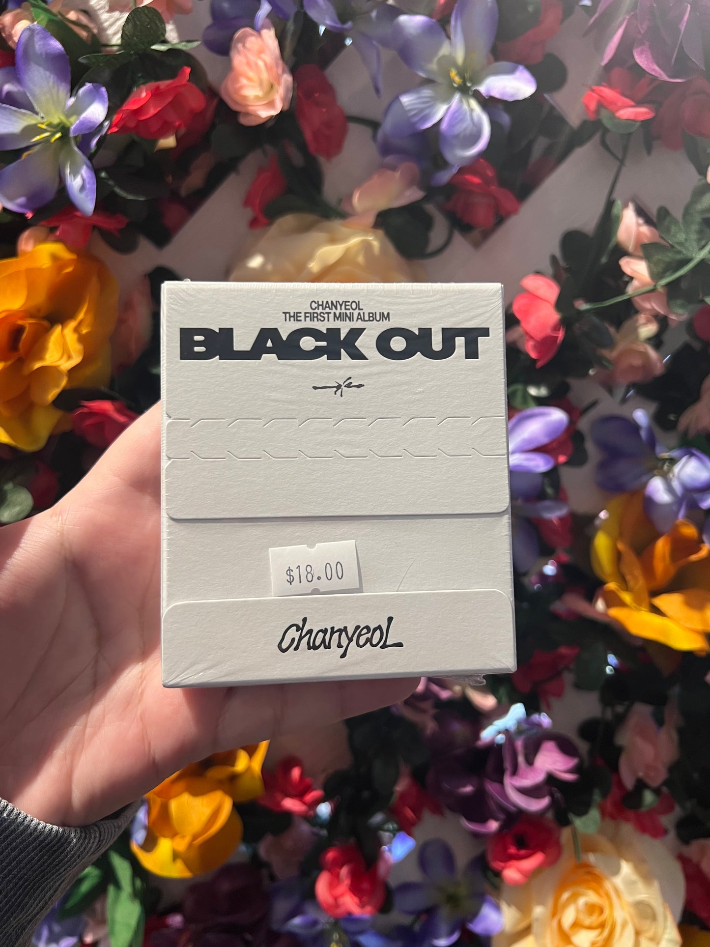 Chanyeol - Black Out (Special Ver.)
