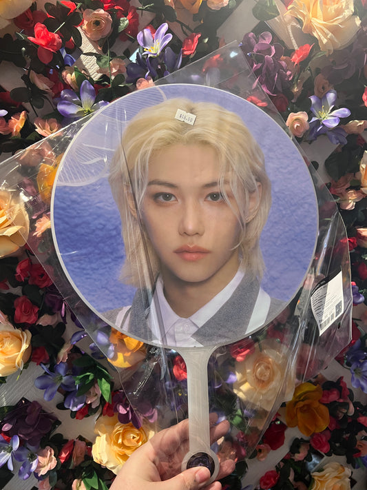 Stray Kids Magic School Picket Felix