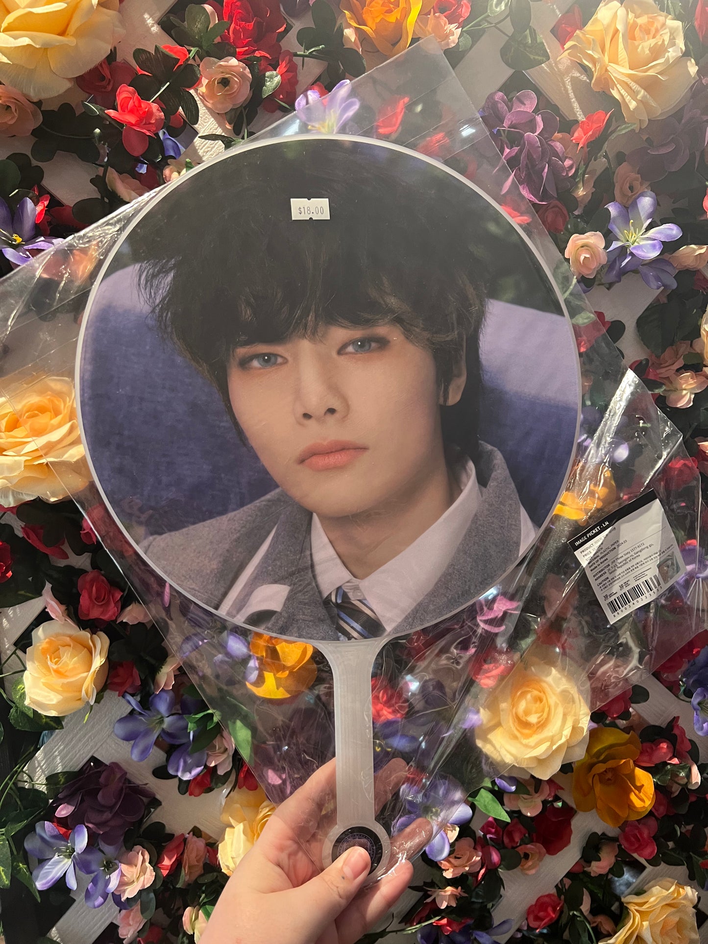 Stray Kids Magic School Picket I.N