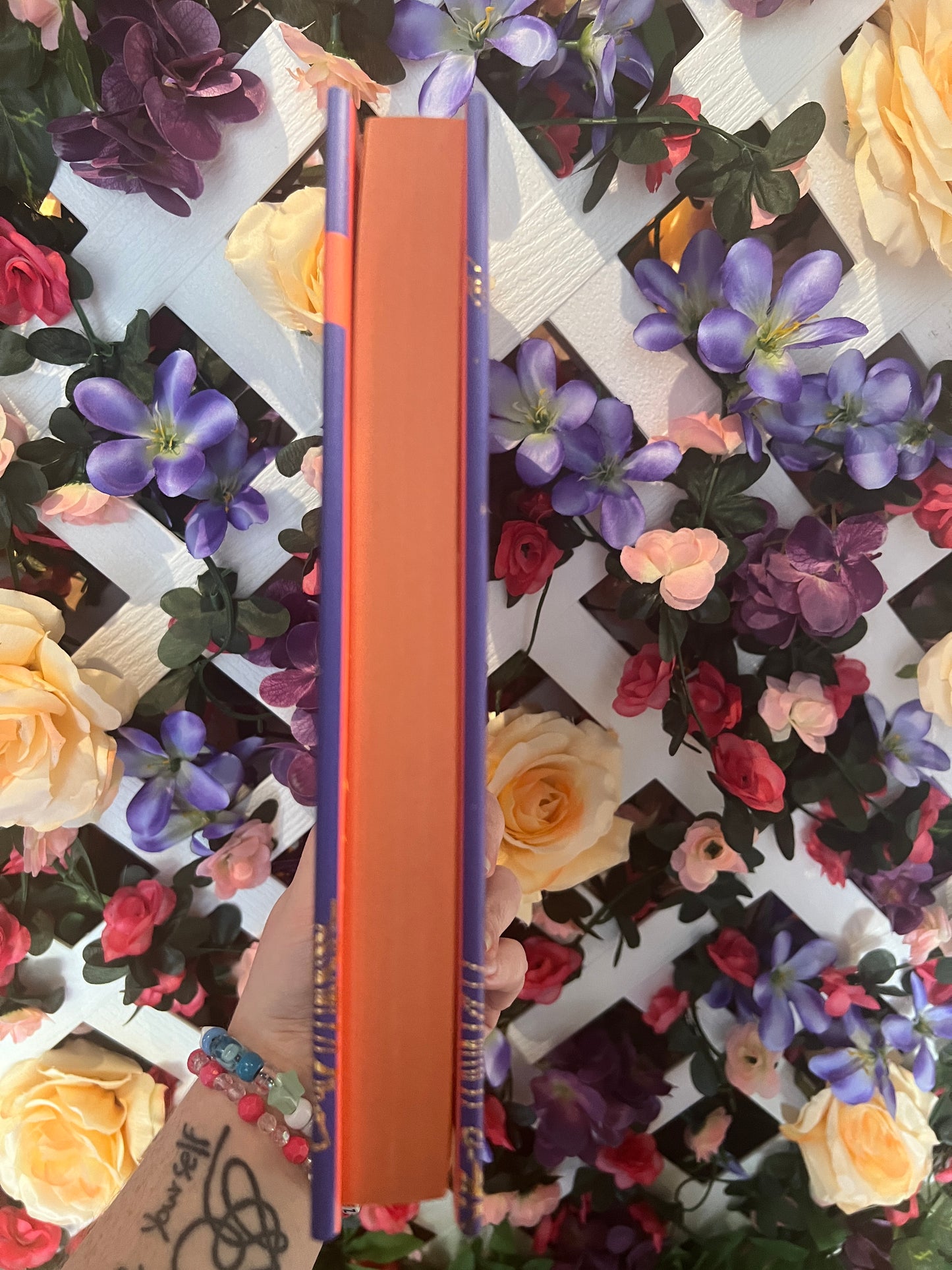 Archer's Voice (Annotated Special Edition) By Mia Sheridan