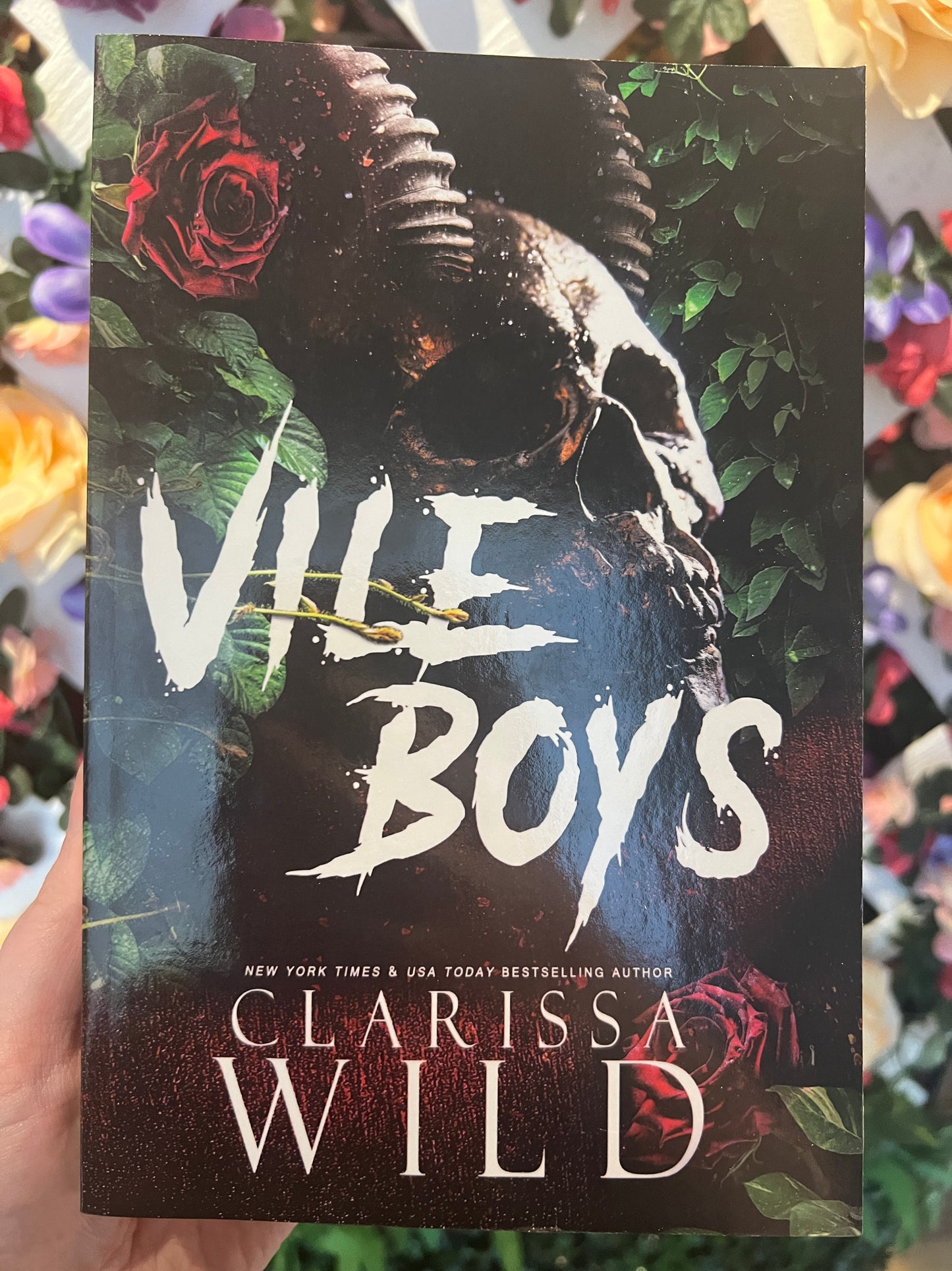 Vile Boys By Clarissa Wild